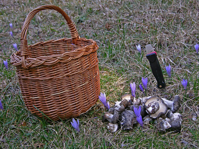 Qualcosa si muove...